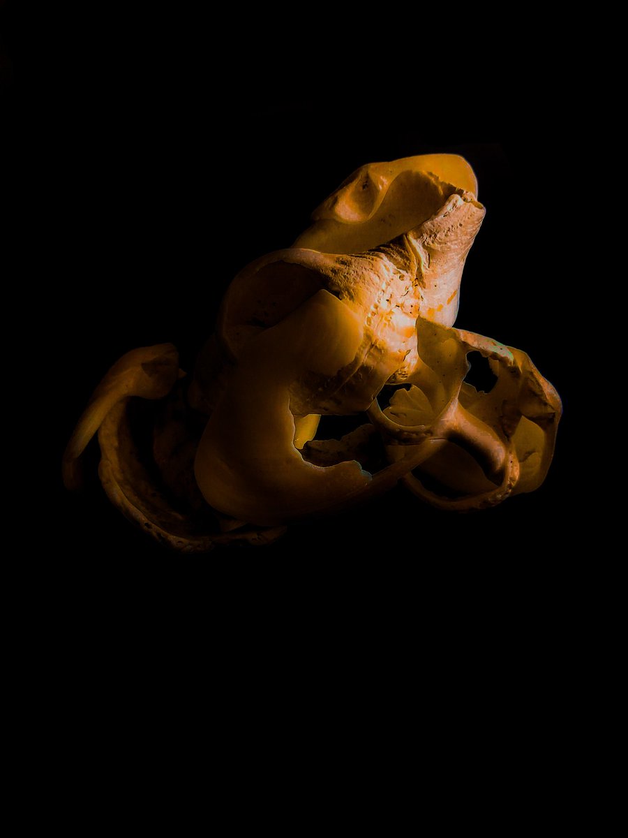 Here is my second piece which is a follow up to my first one. The previous piece i've done like this can be found in my profile if you go back and search for it. If you are wondering what this is you may read what I wrote on the tweet with the previous piece, They are similar. :)