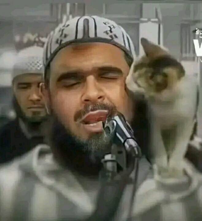 rudol9h's tweet image. SubhanAllah how Allah Aza Wajal used a cat to have the Qur&apos;an recited in millions of houses that have never heard the Qur&apos;an.