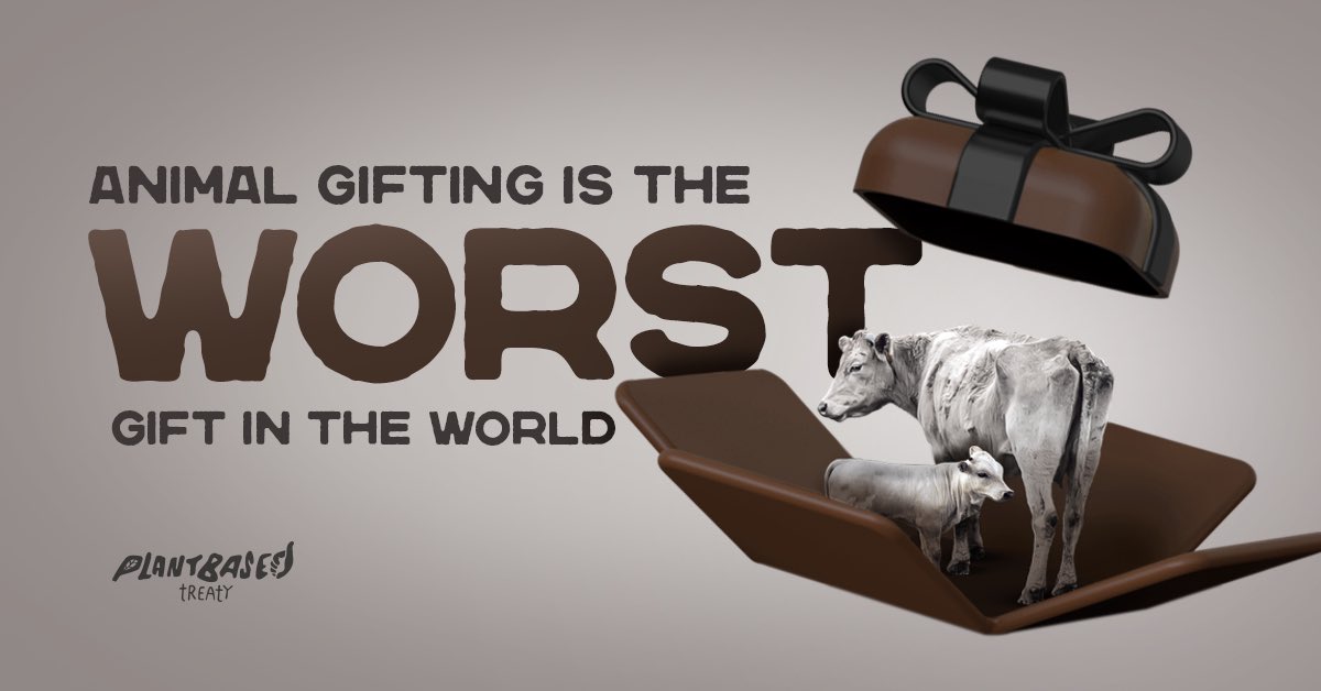 AmandaOaktree's tweet photo. Animal gifting creates unintended negative consequences including forest fires, extreme weather, flooding, disease outbreaks and health problems such as diabetes and heart disease.

#StopAnimalGifting @OxfamCanada @OxfamCampaigns @laurenravon

https://t.co/IIbcxFf9rf