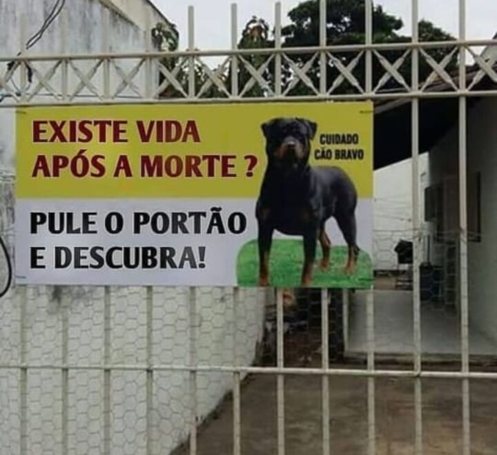 shitpostverdade's tweet photo. https://t.co/w2isKuyJ6M