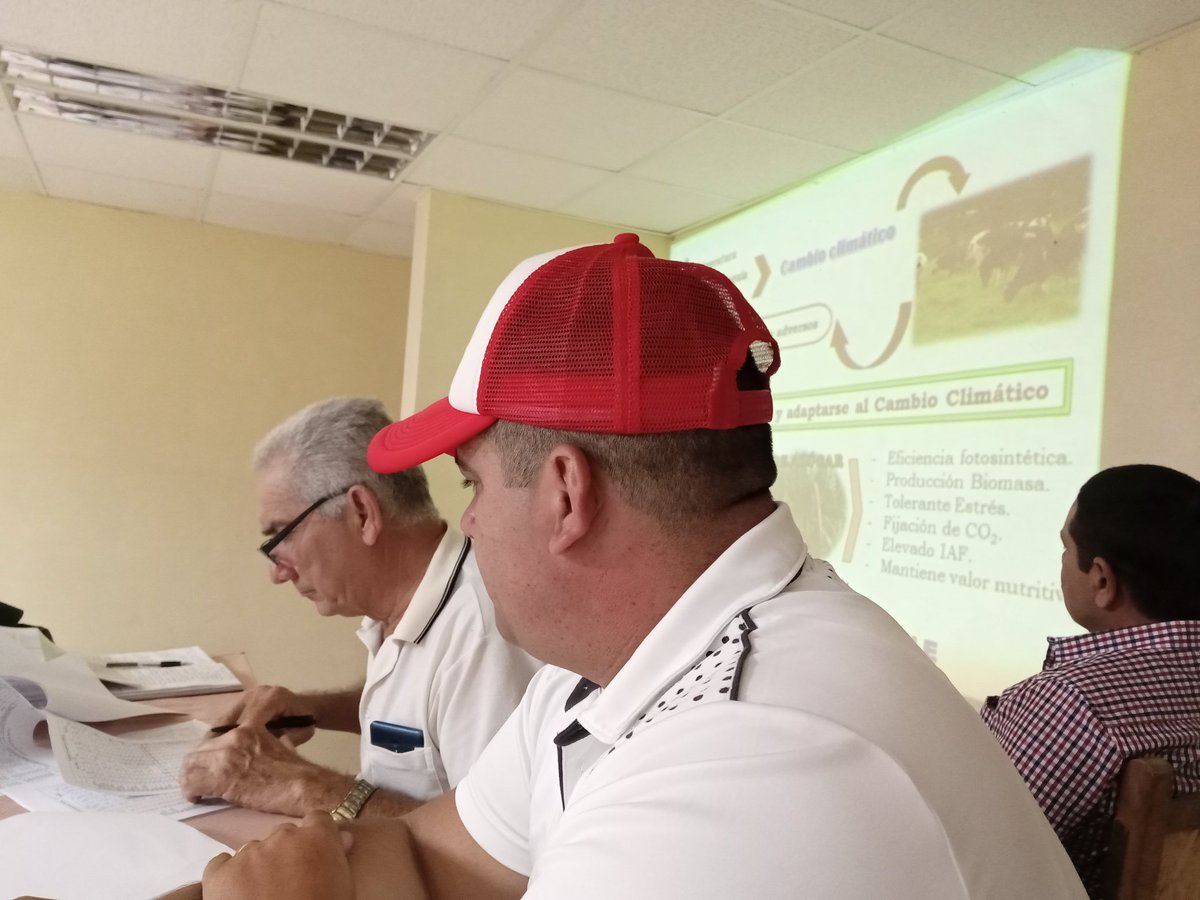 boudet_liliana's tweet photo. En #FloridaDeCuba se promueve la aplicación de la ciencia en la Agricultura y la Ganadería, desde el INICA y analizamos con rigor cómo seguir aportando a la alimentación del pueblo, porque #FloridaNoSeDetiene
#PorCamagüeyTodo
#ALaPatriaManosYCorazón https://t.co/vvE2ROGxdy