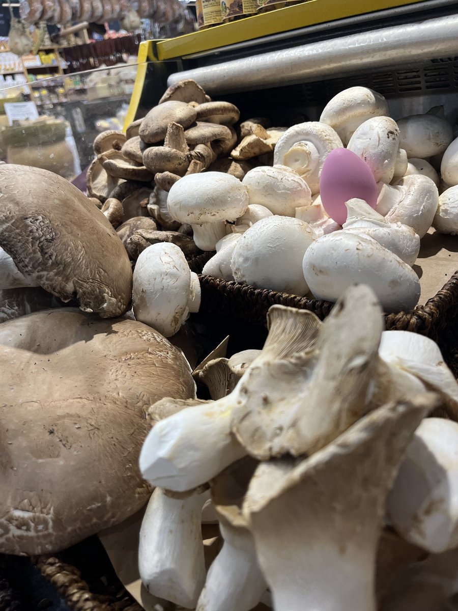 Cheese BouTweet tweet media