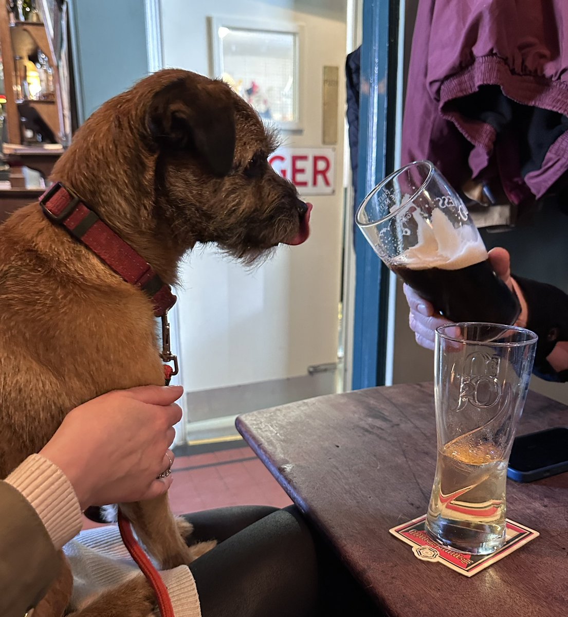 Victoria Wells (@professorpubuk) on Twitter photo When you take your dog to the pub and someone offers him their Guinness <a href="/grapesslingsby/">The Grapes Inn</a> <a href="/GuinnessIreland/">Guinness Ireland</a> #pub #beer #tongueout When you take your dog to the pub and someone offers him their Guinness <a href="/grapesslingsby/">The Grapes Inn</a> <a href="/GuinnessIreland/">Guinness Ireland</a> #pub #beer #tongueout