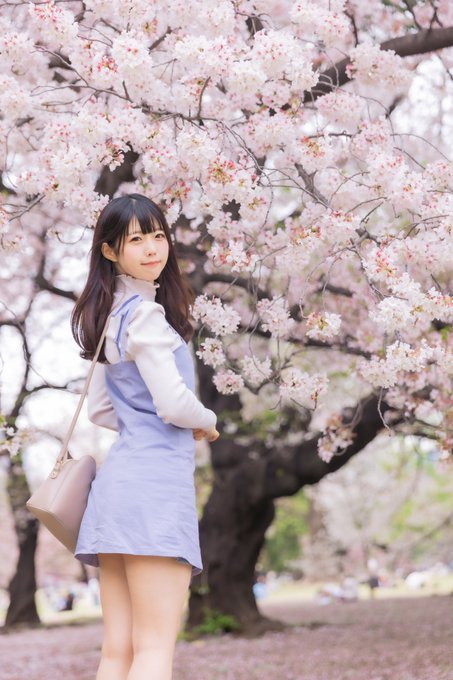 コスプレイヤーニャロメ・ニアのTwitter画像24