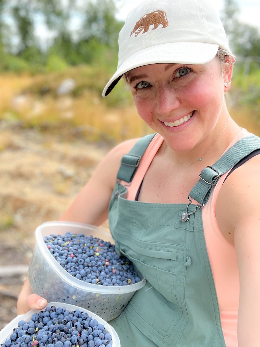 pineclifflodge's tweet photo. Blueberry pickin’ up at the lodge last summer. Just used the last of the stash to make 🫐 🥞 🤤. Summer couldn’t get here fast enough! 🎣🫐🐻 https://t.co/dAogBaONML