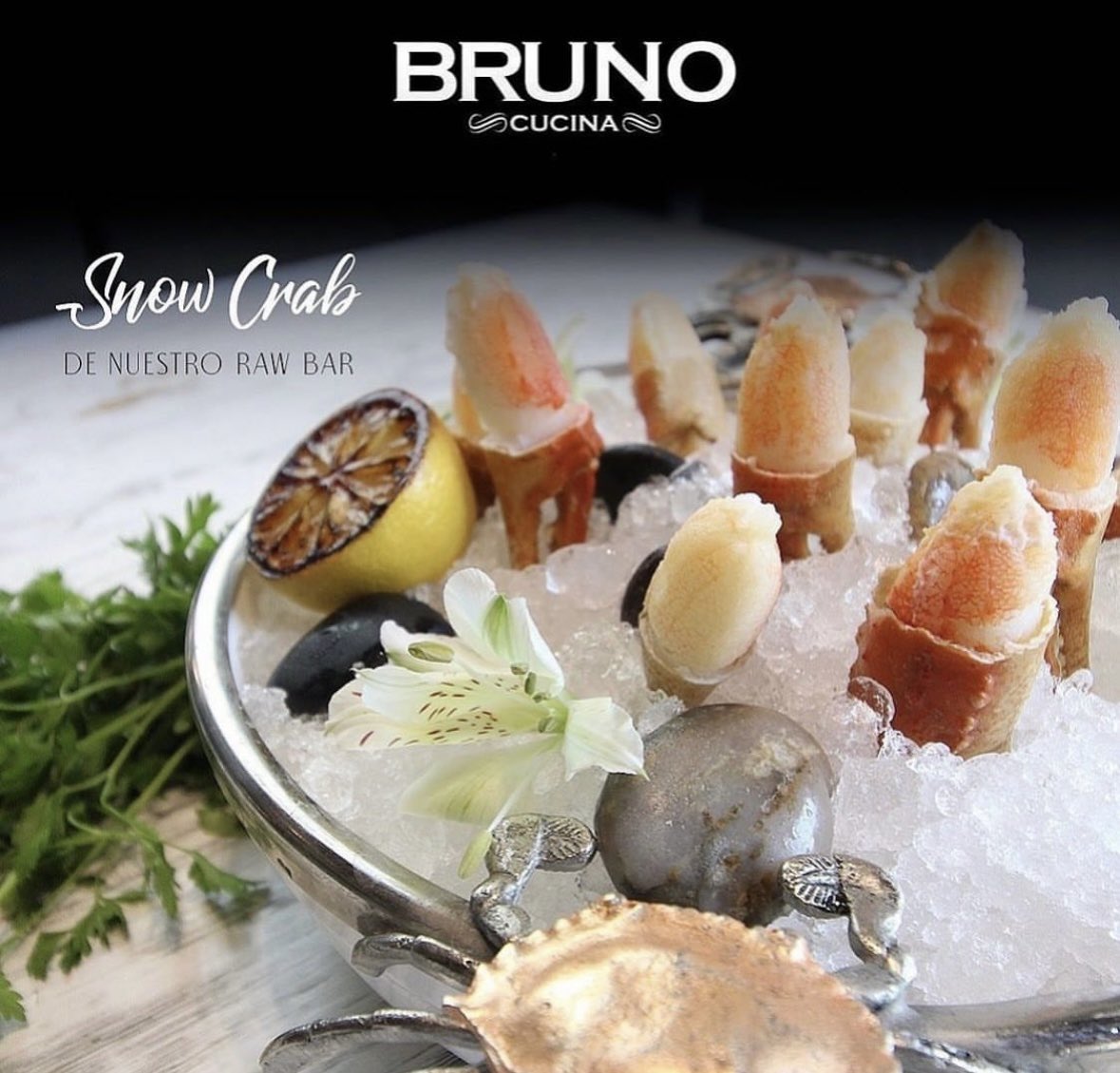 BRUNOcucina's tweet image. Nuestro #RawBar te ofrece manjares exclusivos como estas #SnowCrab.

¡Ven a disfrutarlas! Reserva por WhatsApp al (442)70-80-100.

#BrunoCucina #Mariscos #Exclusivo #SeaFood #Deli #Top #DondeIr #Querétaro #TempoDiBruno