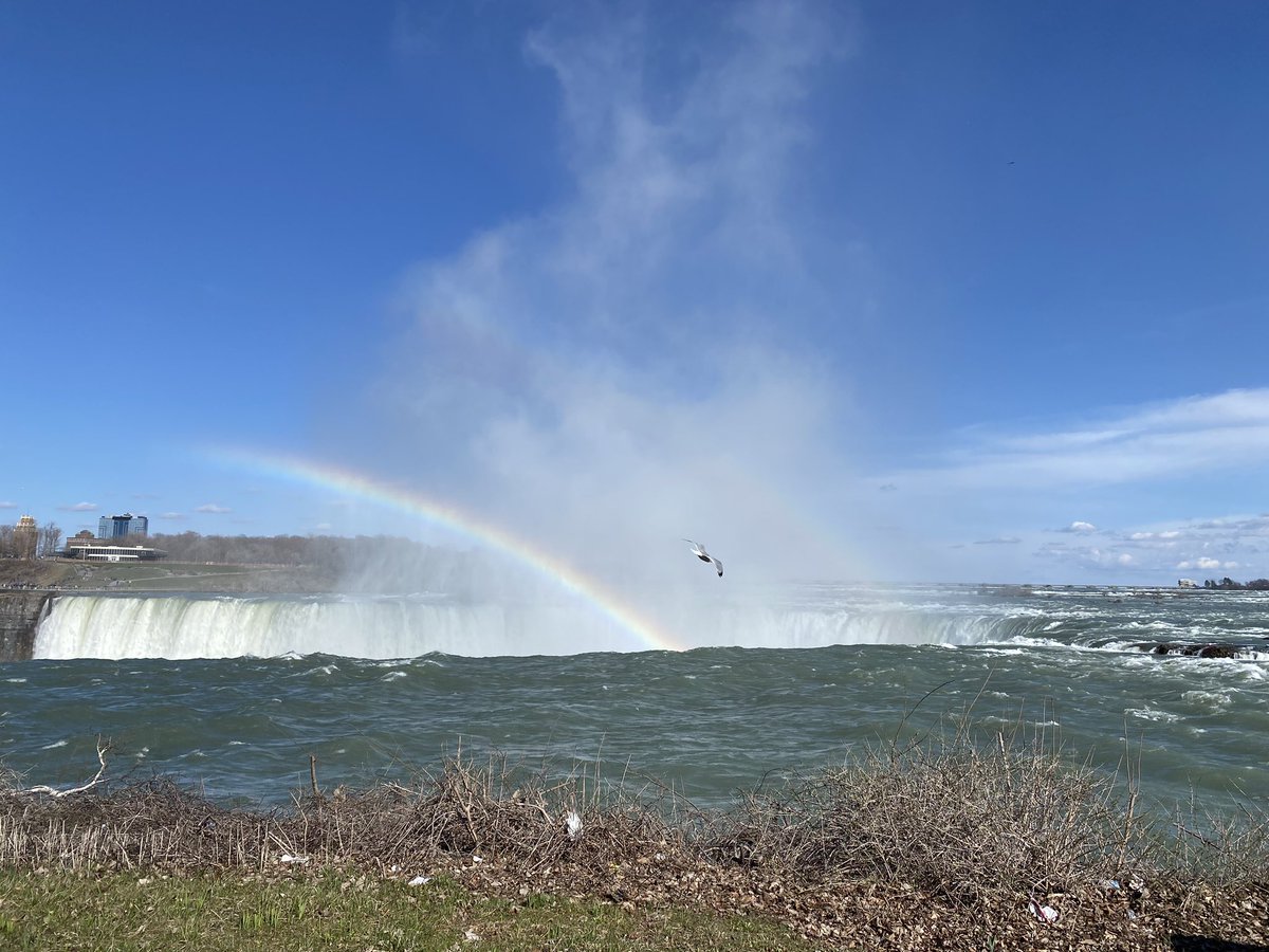 jiaqingli's tweet photo. Niagara Falls revisited on Good Friday 

Double rainbow all day https://t.co/GZb08UVIzB