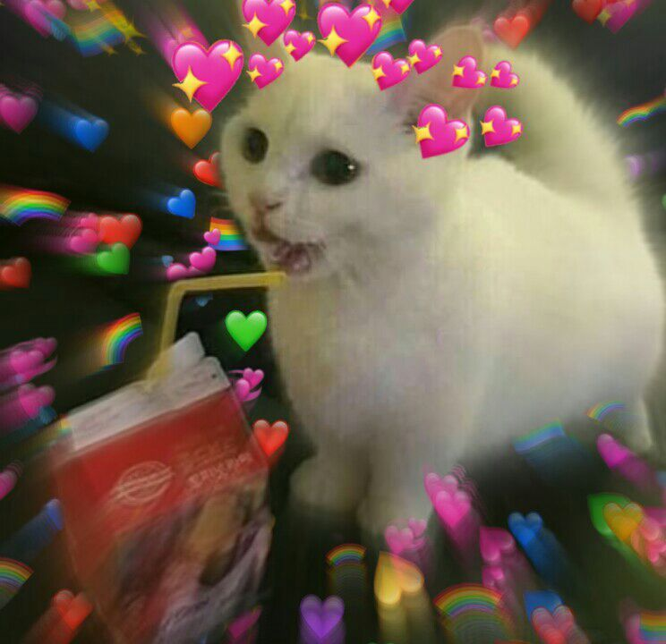 CarlaStreams's tweet photo. we hit 4K on youtube today eeeeeeeeeeeeeeee https://t.co/3PBouCx9Mx