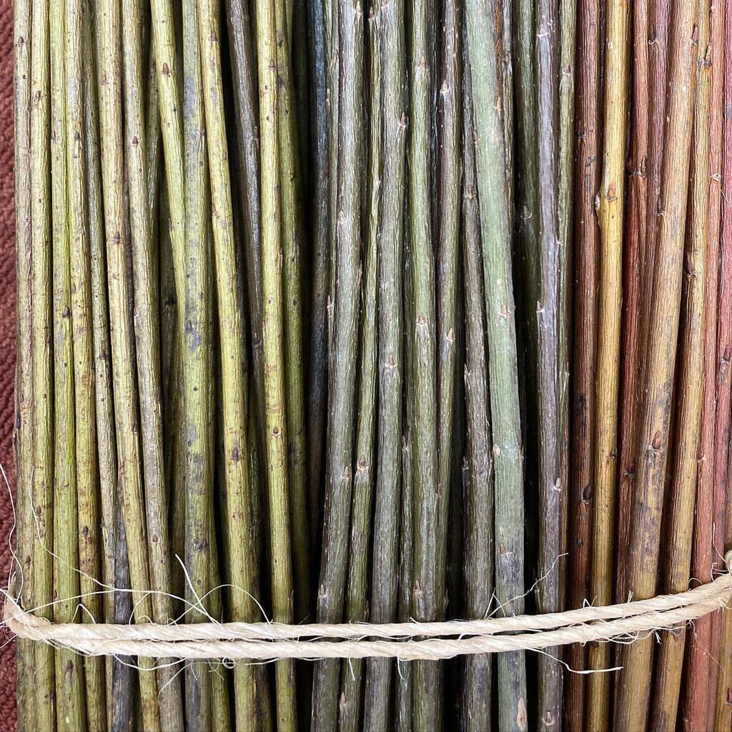 MelKeiser's tweet photo. Check out this beautiful willow before it goes into the soaking tub to be made into a casket by Sophia Campbell-Shaw! Did you know willow was so many beautiful colors? I didn’t, but Howard Peller of Living Willow Farm sure did. Thanks for the lovely, wil… https://t.co/3AtkoEbHFc https://t.co/rCP6VBhrmx