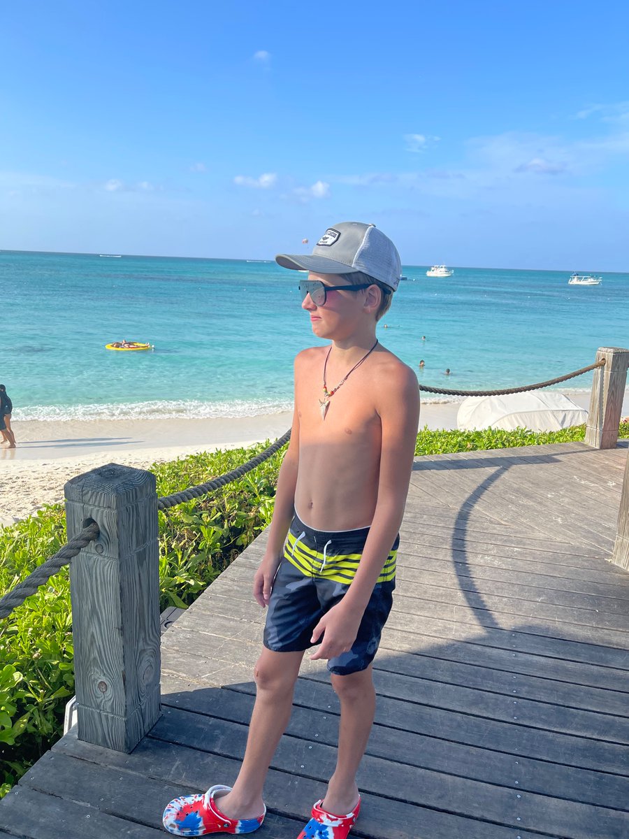 Adam Apicella tweet media