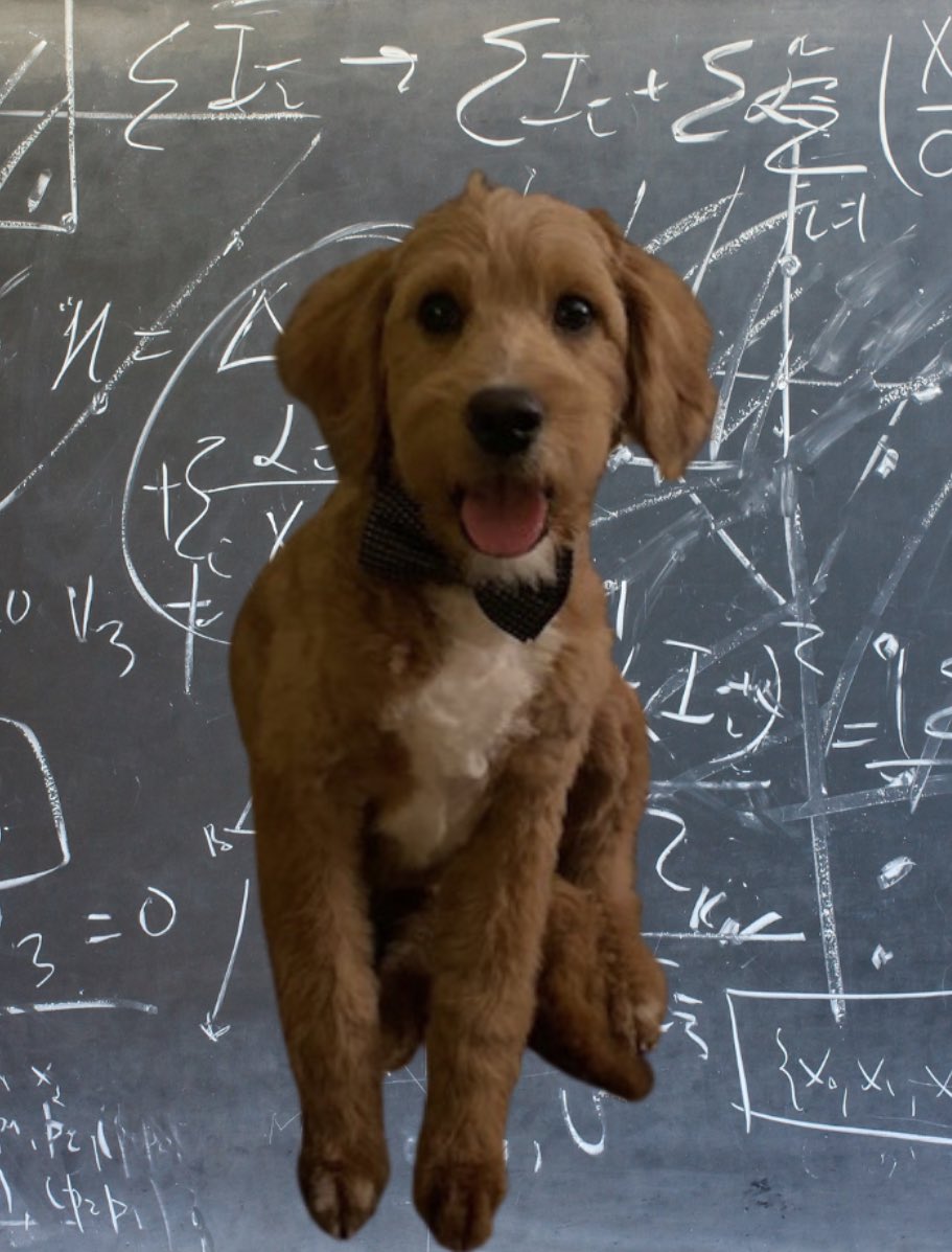 Carolyn Wargo tweet media