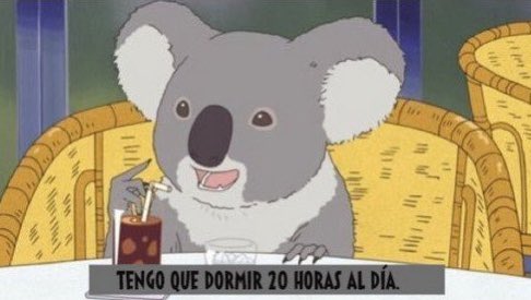 💜🌸Waifu_nudes 2.0🌸💜 on Twitter: "RT @Guarromantico_: Nadie: Yo de la nada:"