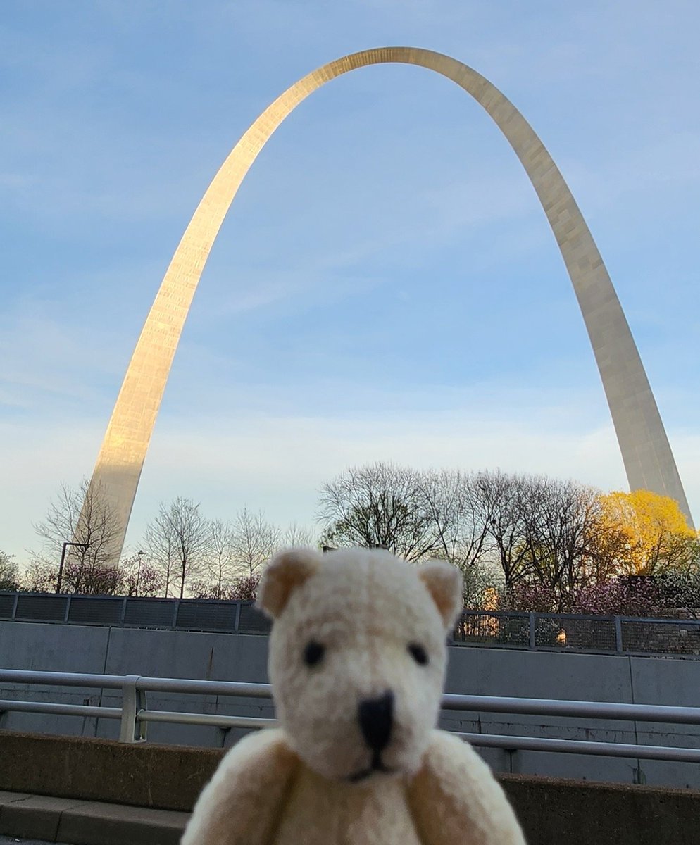 LittleBearFoundation tweet media