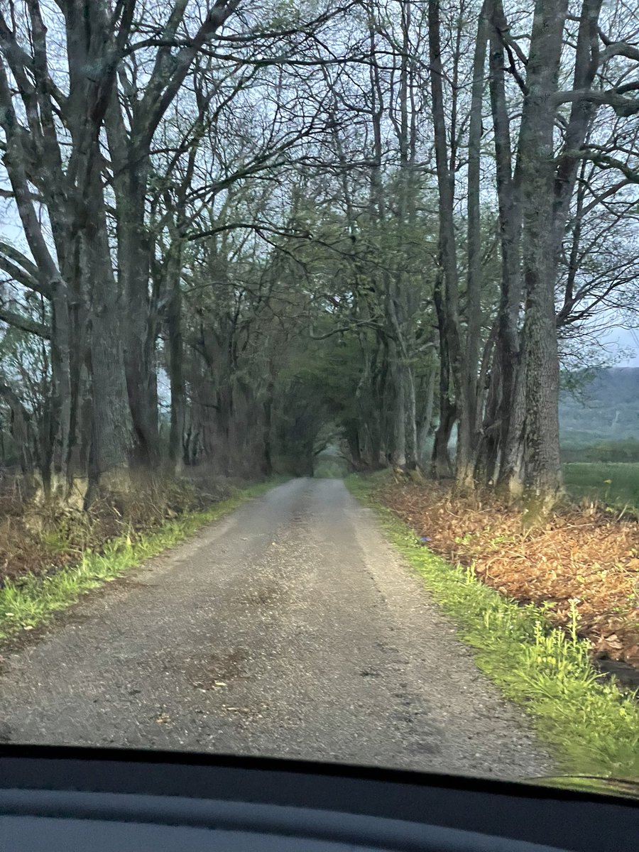 Sam Clements tweet media