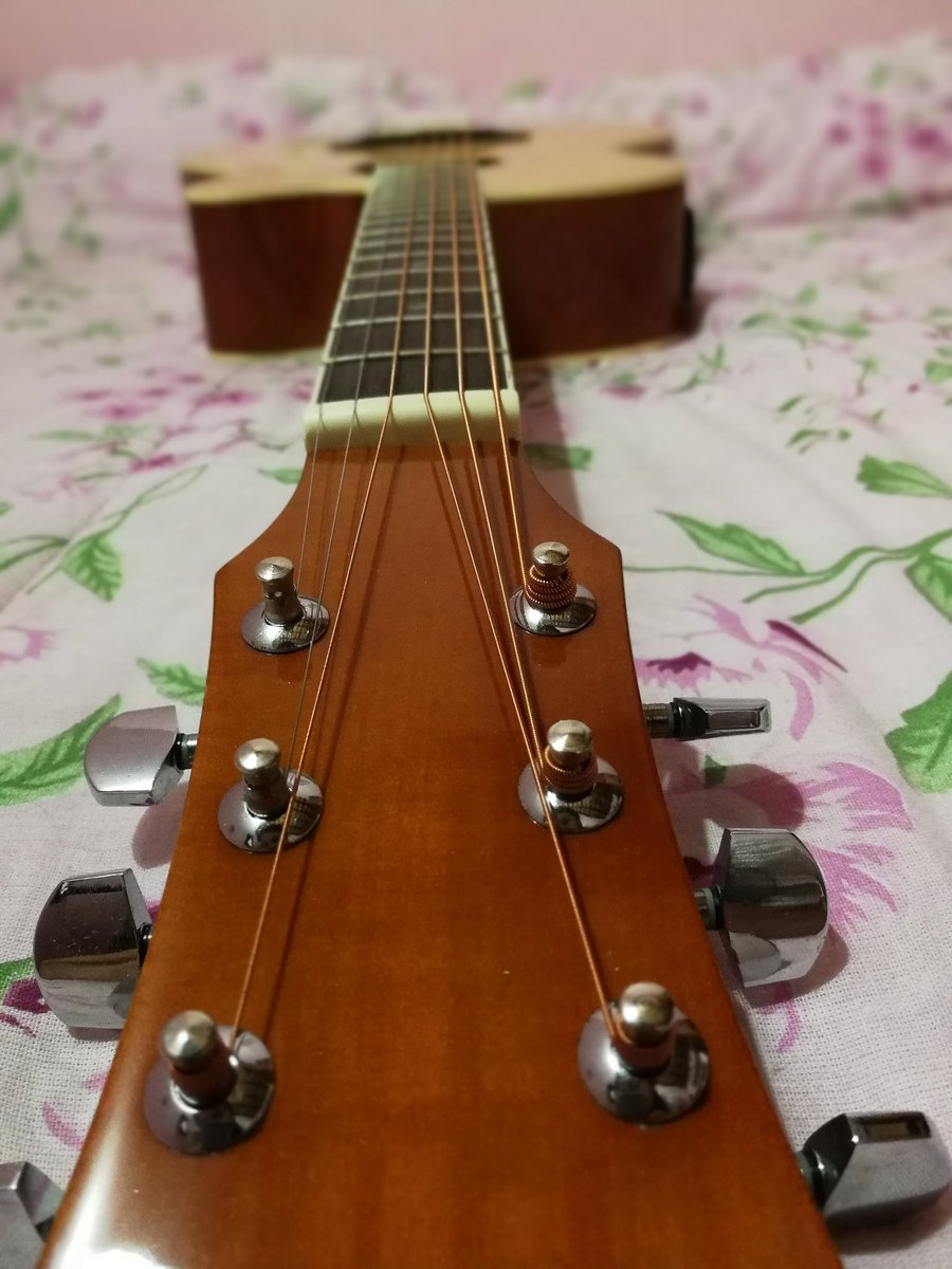 loy_frutos's tweet photo. Vendo mi guitarra Aranjuez en perfecto estado para cubrir gastos de internación de mi gatito 😔
RT para que llegue a los interesados 🙏🏼 https://t.co/HmFZeidl2M