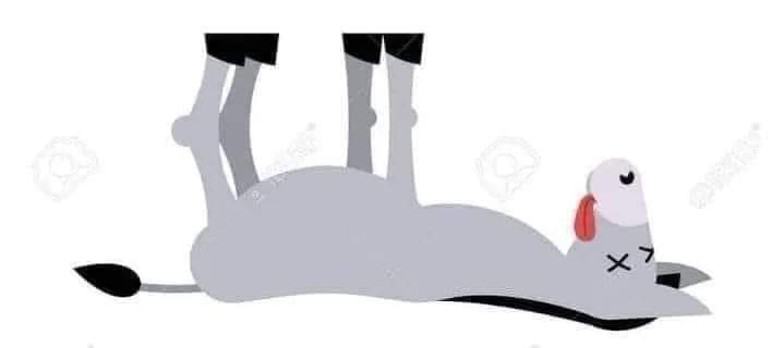 NoSoyBuenaOnda's tweet image. Un muchacho llamado Andres Manuel se fue al campo, y compró un burro a un viejo campesino por $500. El viejo acordó entregarle el animal, al día siguiente. Pero al día siguiente, el campesino le dijo:
—Lo siento, pero tengo malas noticias: el burro murió.
—Bueno, dijo Andrés…