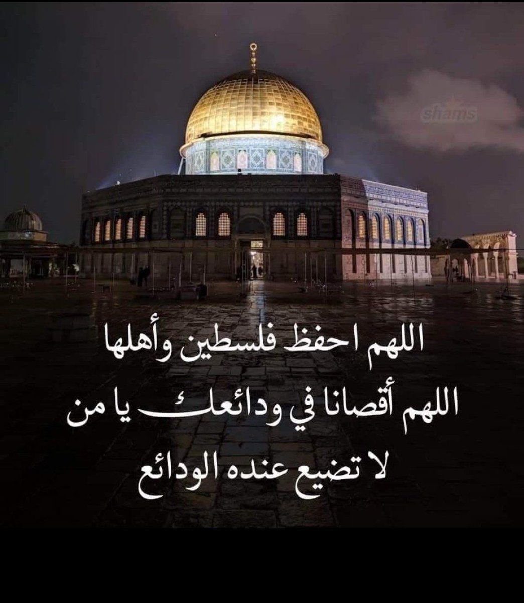 Mahmoud Abo Shnab (@shnabmahmoud) on Twitter photo 