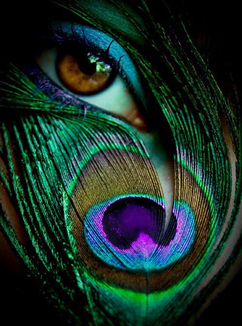 PluschMuschi's tweet image. 💙