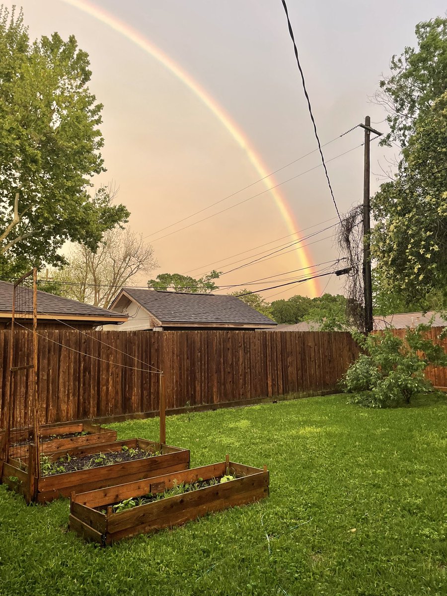 Emma Balter tweet media