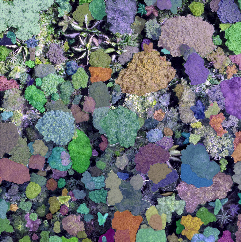 Testing the new Segment Anything model of @MetaAI on UAV images acquired over Amazonian forests. Interesting results...