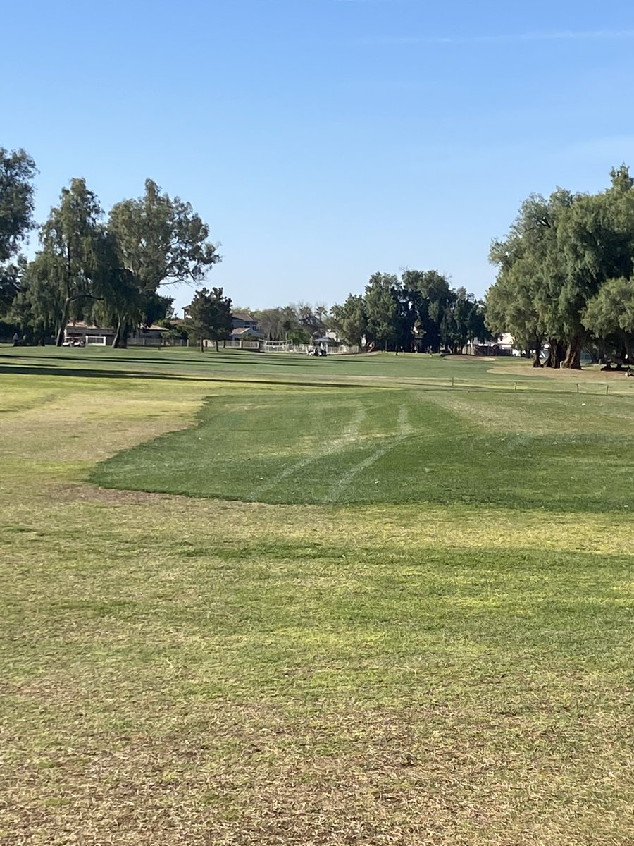 Darrin Sawchuk tweet media