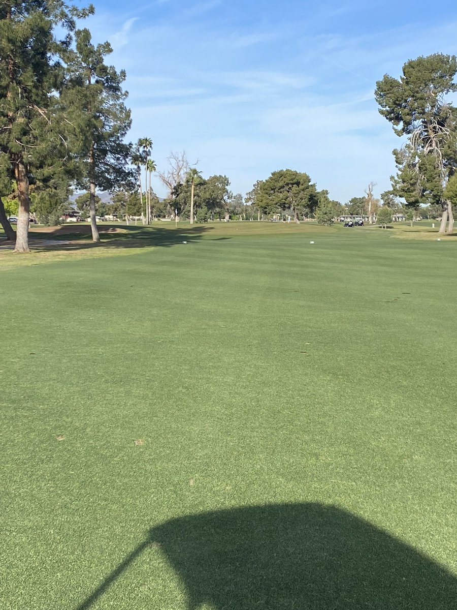 Darrin Sawchuk tweet media