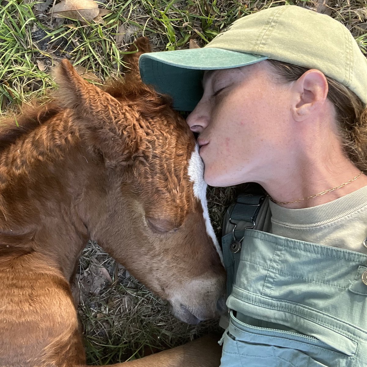 A week ago, our lives changed when we took in a tiny, orphaned foal. I named her Kohen, and she has been the light of our lives this past week❤️ Hard to describe the bond we’ve already cultivated. So special 🥲