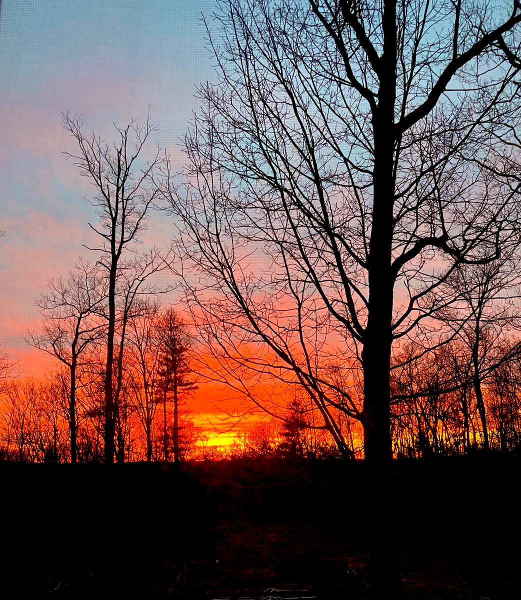 itsjessandart's tweet image. Sunsets are nice. Right?