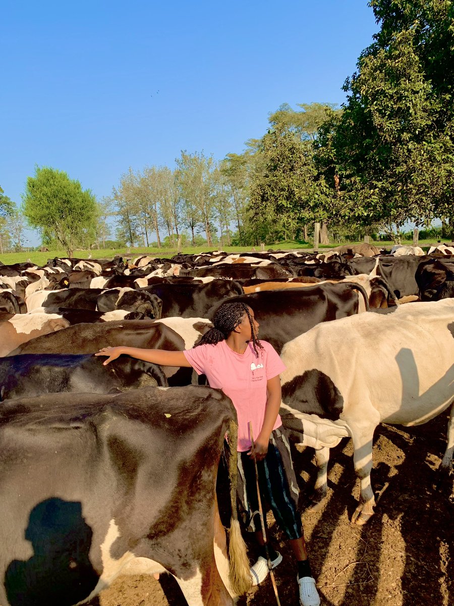act_farm's tweet photo. https://t.co/erGQkPA1pY