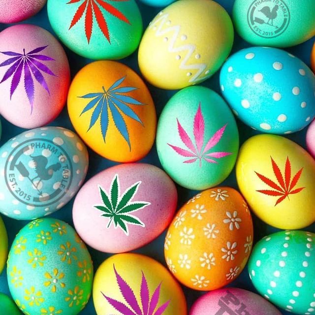 PharmToTableOR's tweet image. It’s an Easter egg hunt!!!
We’ve hidden eggs 🪺in different places on our website. Find them and win prizes. 🐇
It’s the most fun you can have on the toilet since Wordle. 
(Screenshots count)