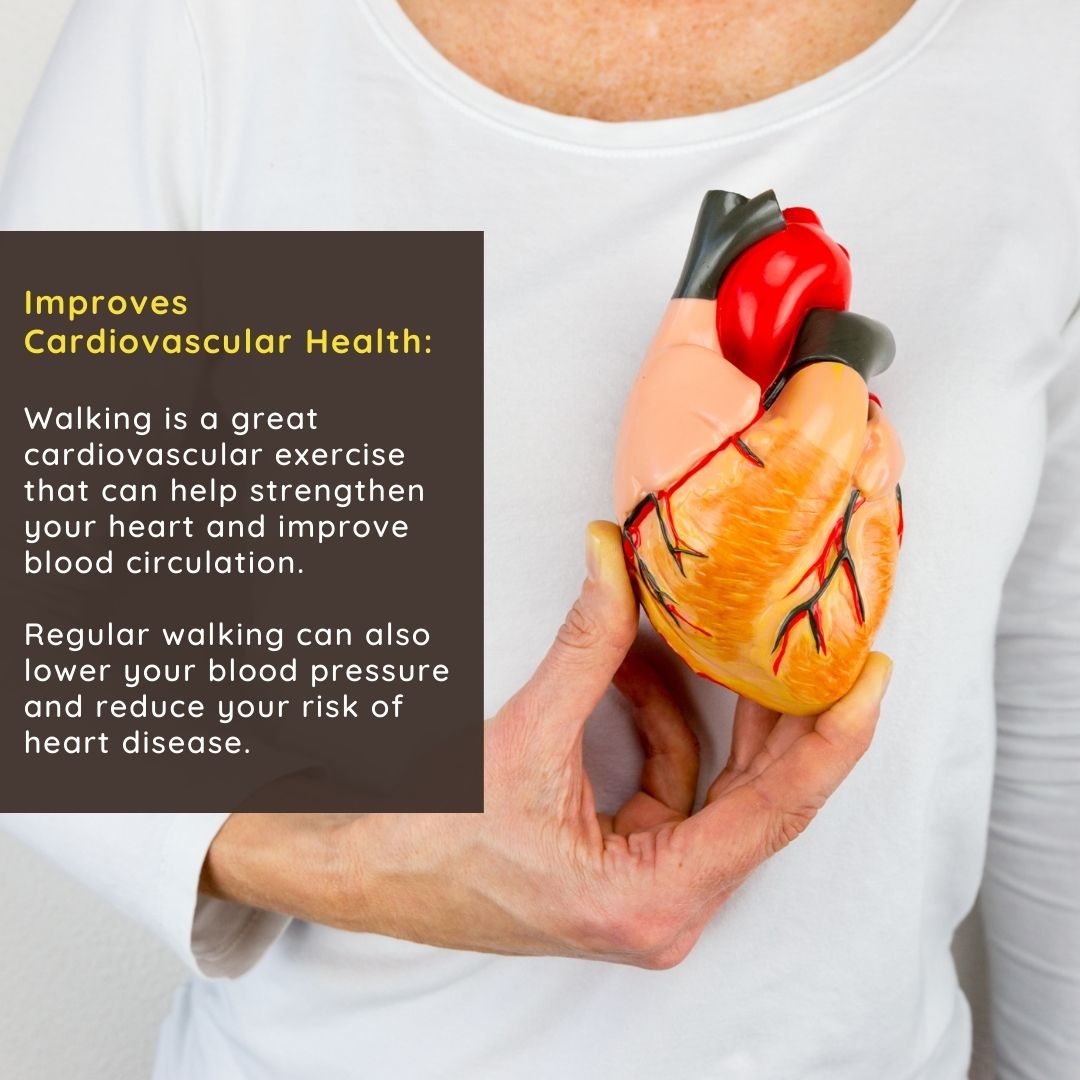 SandaRetreats's tweet image. "Walking is a great way to improve your overall wellness". Here are some of the benefits of walking for wellness
.
.
.
#walkingbenefits #walkmore #healthylifestyle #fitnessmotivation #dailyexercise #physicalactivity #cardiovascularhealth #mentalhealth #outdooractivity #naturewalk