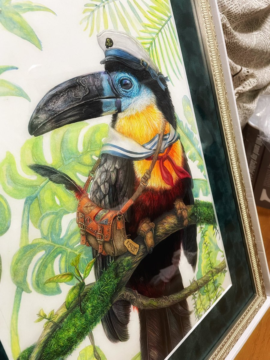 bird no humans hat plant traditional media animal parrot  illustration images