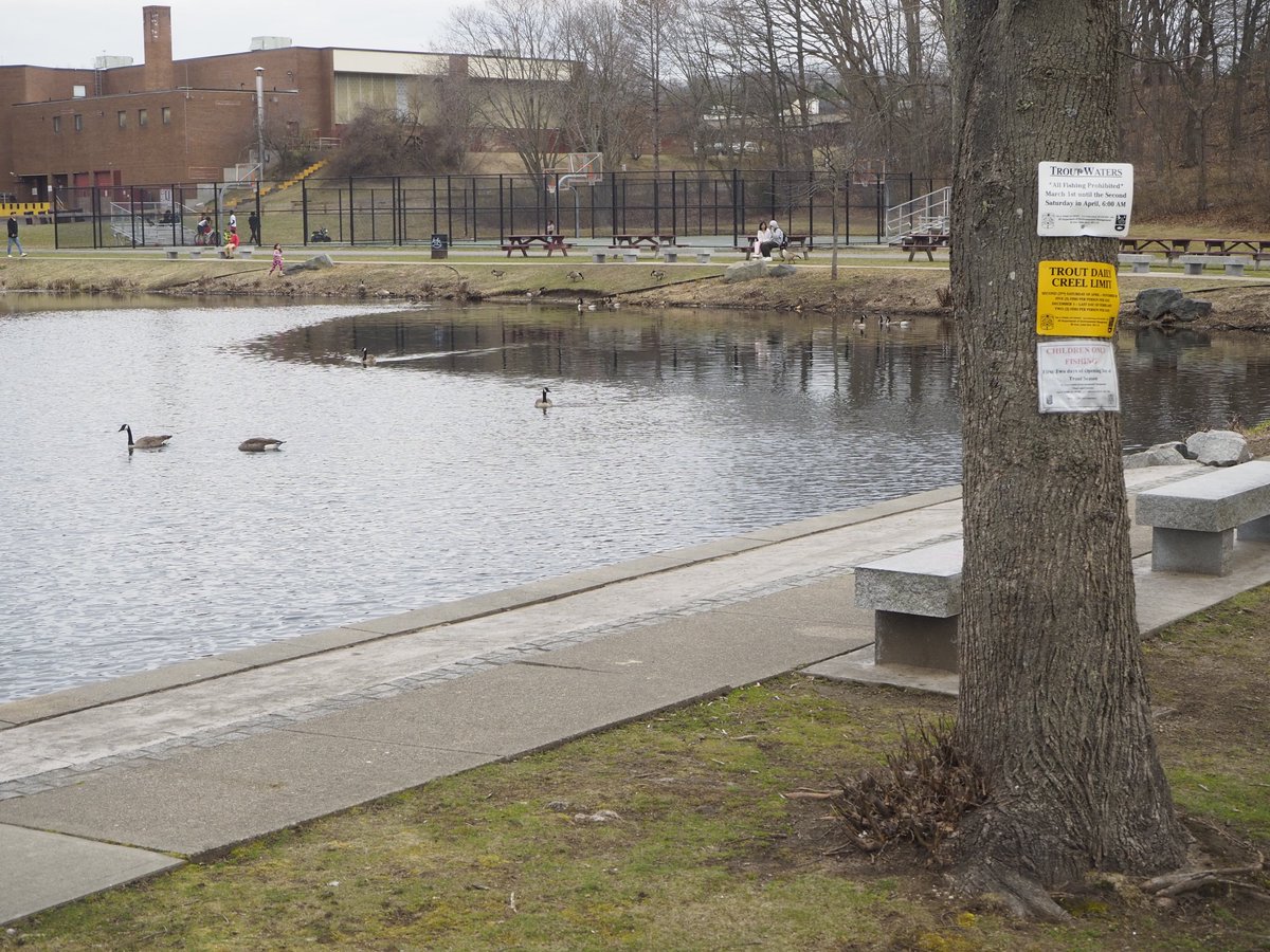 Cass Pond is ready for the Woonsocket Elks Lodge 850 fishing derby for kids Saturday morning.