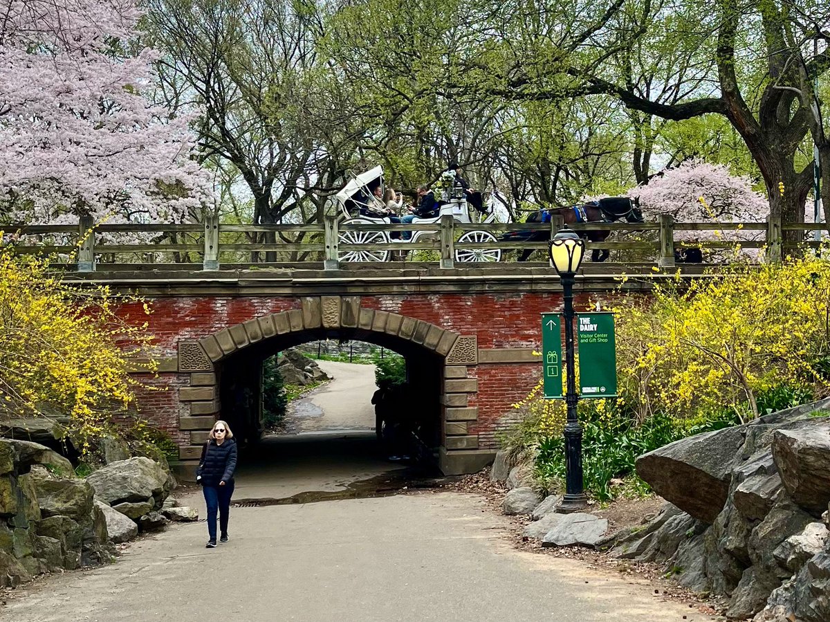 Carriages and equines are an essential element of Central Park. #carriageOn #newyorkcity Protect our carriage industry!