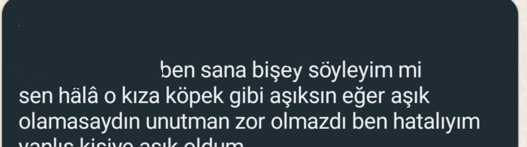 Bazı şeyler kalpte bitmeyince hayatının am*na böyle koyar