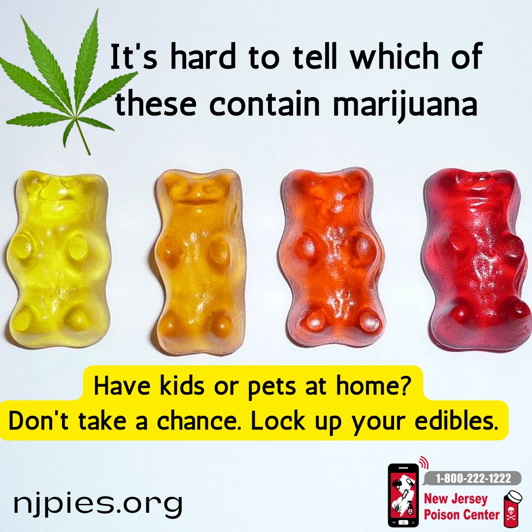 NJPoisonCenter's tweet photo. More kids rushed to hospital after eating gummies
@GMA story ๐ https://t.co/JFIaAt7Gbi
If a child accidentally eats adult edibles, call your local poison control center right away for fast medical help and next steps. 1-800-222-1222
#NJPoisonControl #NJPoisonCenter https://t.co/38KKMpkXda