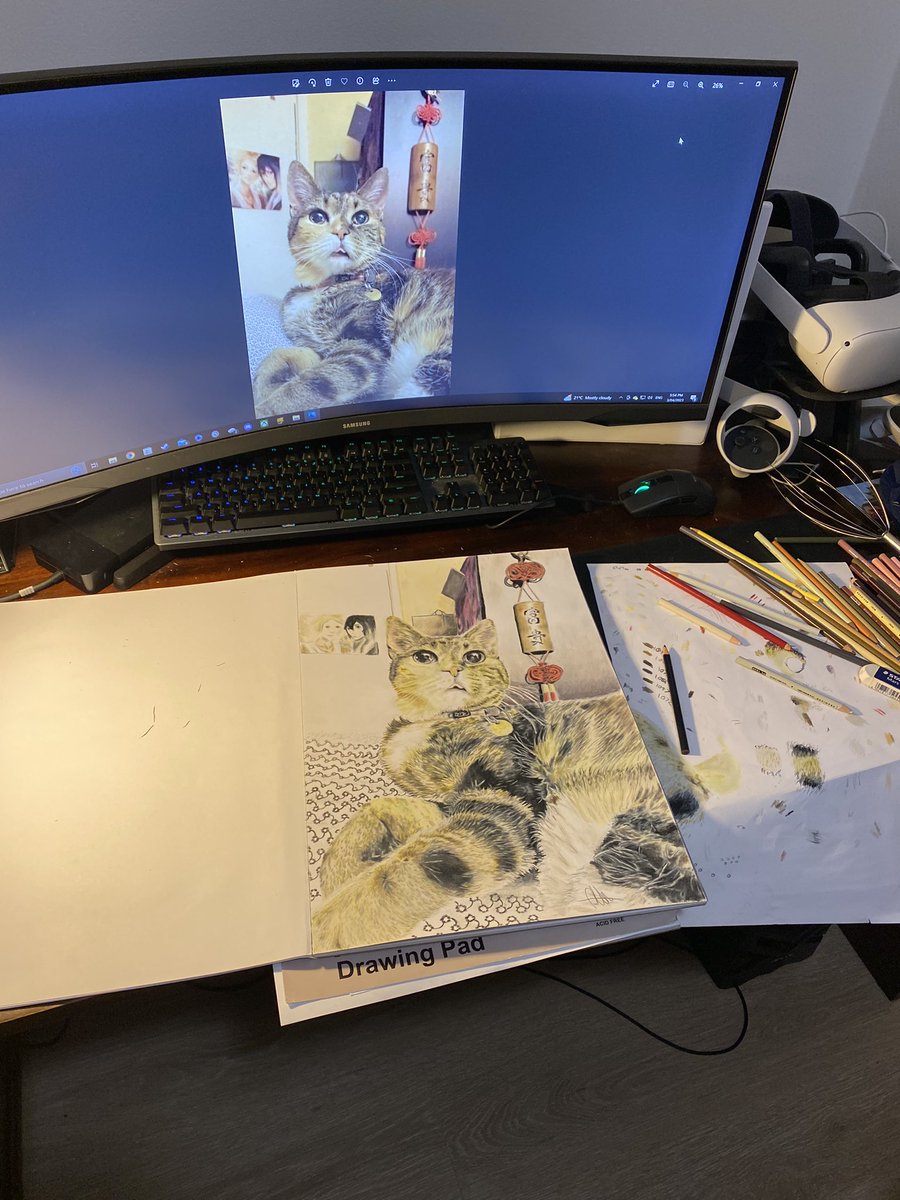 “Talulah” the kitty cat for <a href="/WalnutRoasted/">Squidinator</a> :)

Prismacolor pencils on A3