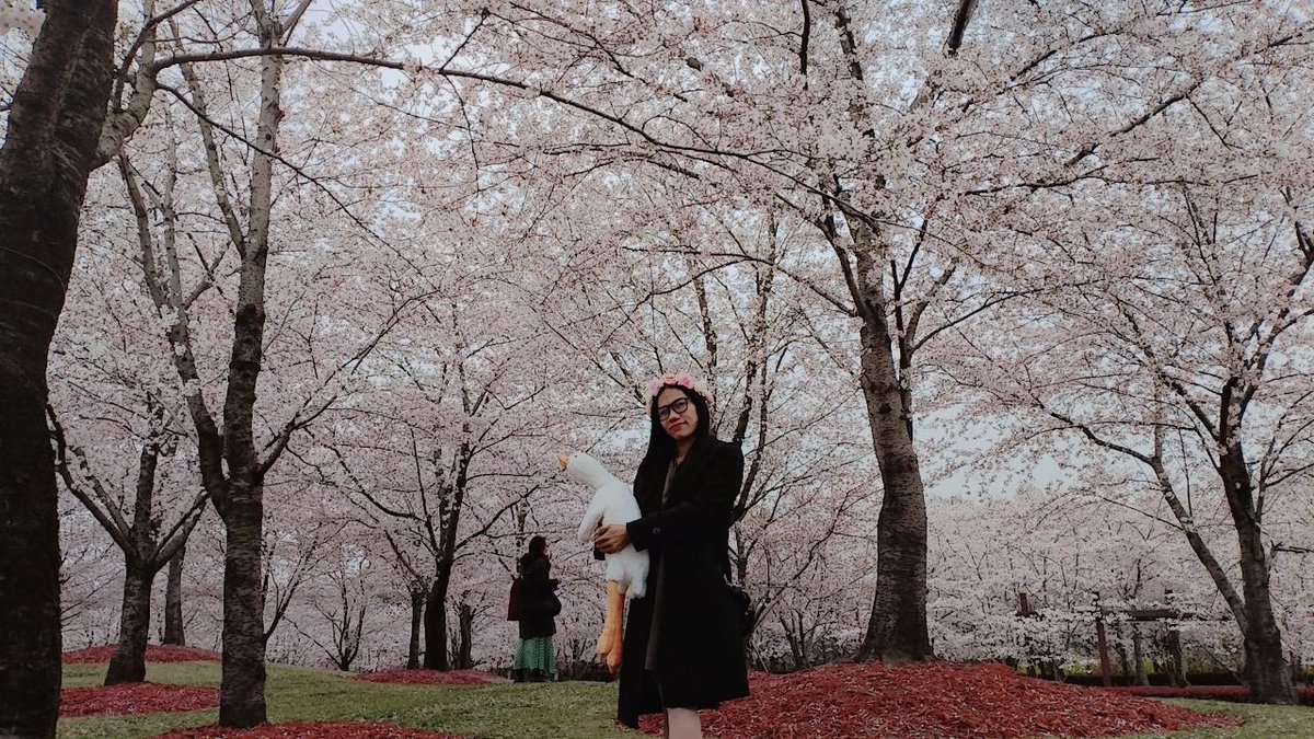 Zelliis1's tweet photo. wonderful amazing views places
spring season๐ธ๐๐ธ๐ธ๐ฟ๐ฑ๐
#Springseason2023
#NaturePhotograhpy #Nature #PhotoAlbum https://t.co/CwZNPea7L5