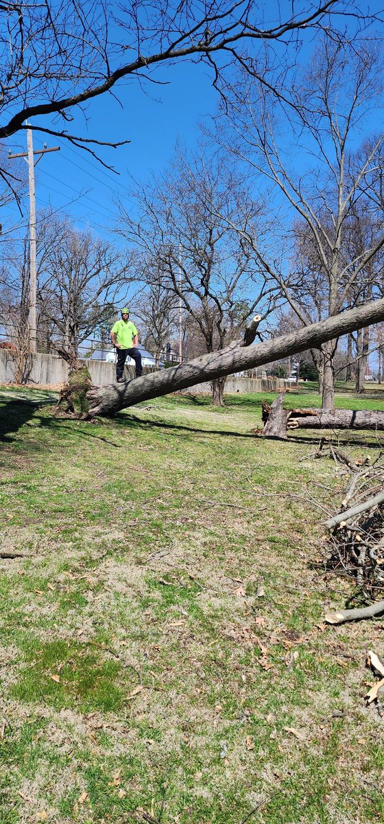 JFeRg52's tweet photo. #RallyTree π I don't know...I'm just tryin to stay positive and have some fun https://t.co/DK2p97bUu2