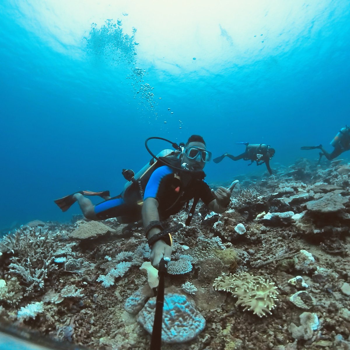 Dagger1_FJ's tweet photo. Got my PADI Open Water Diver certification today 🤿🙌 https://t.co/kzx9nZwsjA