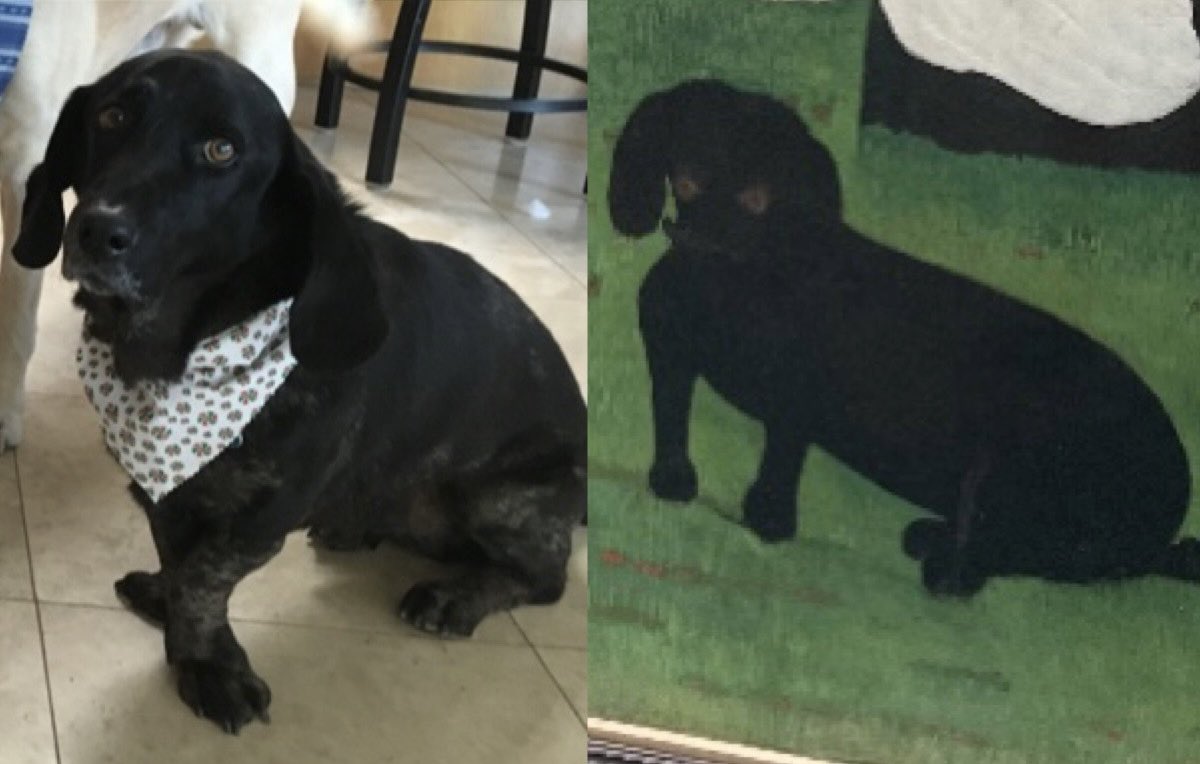 My parents were at a museum in Paris and found out that my dog is most likely a time traveler. The painter really captured his awkward little body and haunted eyes ❤️