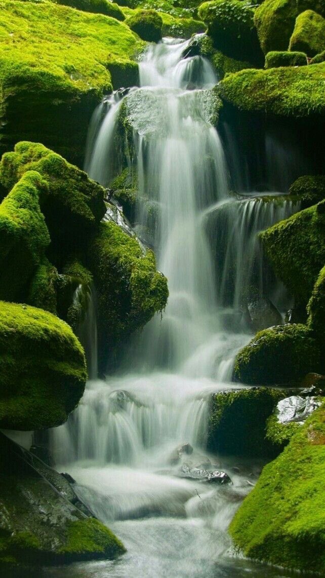 GoodMusicRelax's tweet photo. Nature is beautiful 😍 
#Nature #Greenpeace https://t.co/GhsdpCjg33