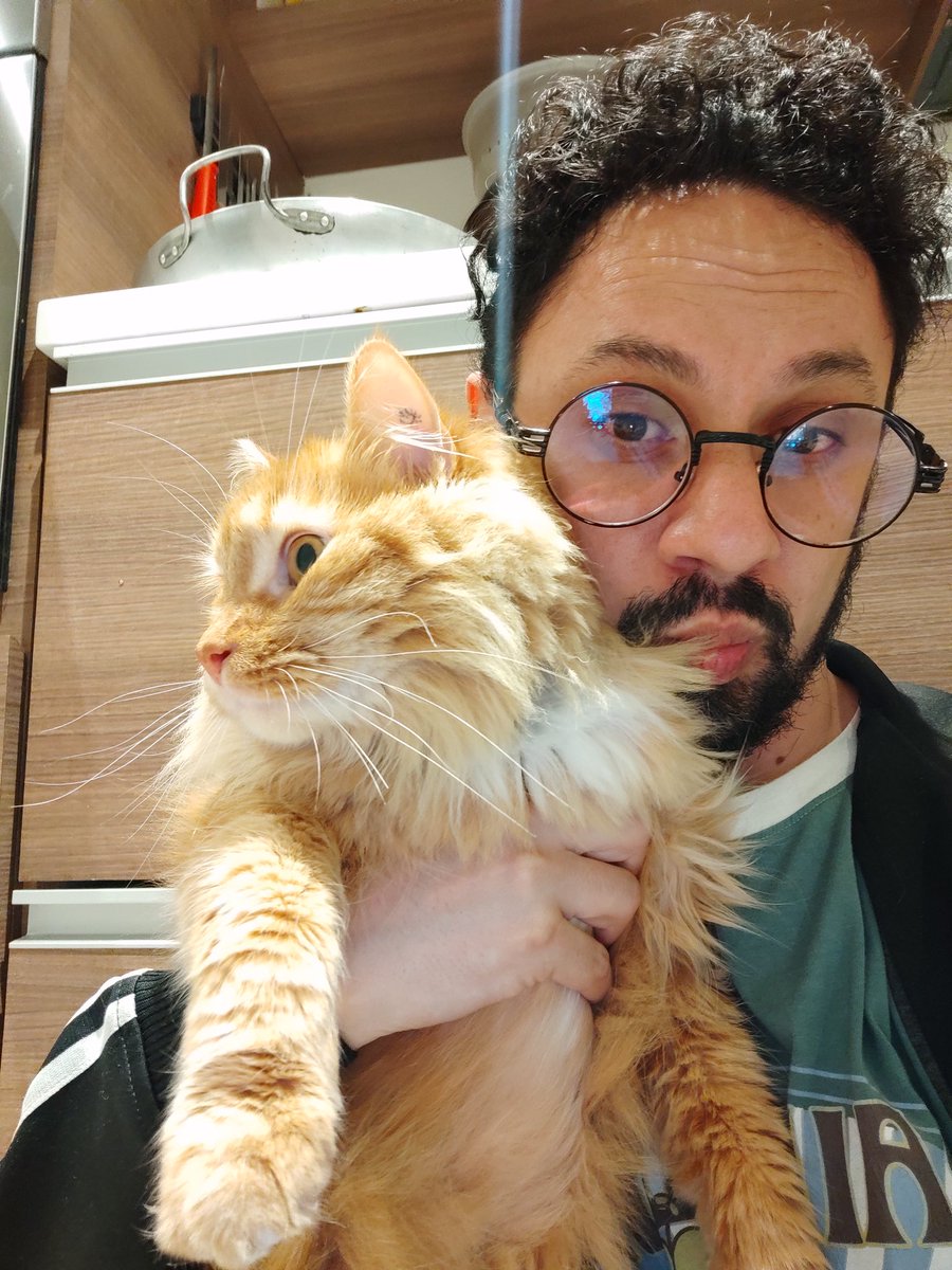 kinofabara's tweet photo. Los papurros de la casa. 😸😸😻😻 https://t.co/b2RtDzWiAe