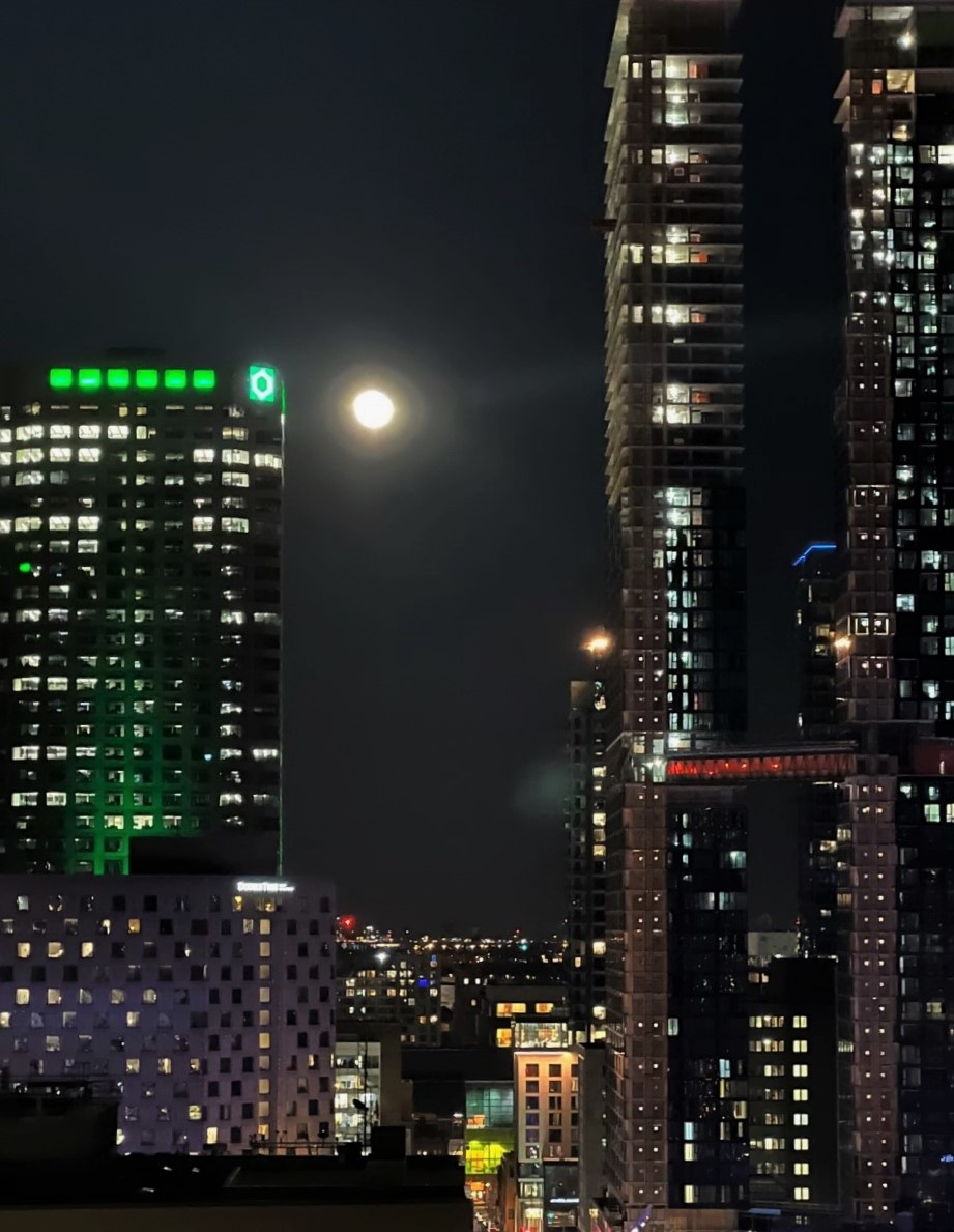 La Lune du Vendredi Saint...

C'est Dame Lune de ce soir entre les gratte-ciel qui poussent devant ma vue comme des champignons... 

Pas sûr que c'est champion pour l'harmonisation architecturale du bas de la Ville... 

Mais bon, la Ville ne m'a pas consulté... 😂 
#LAGRC #DTLG