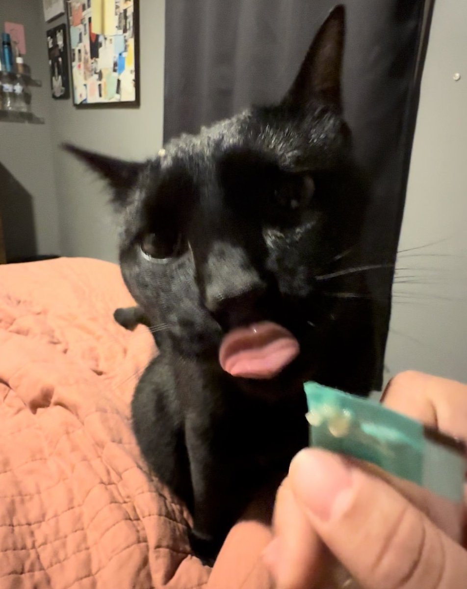 Was trying to get a cute pic of my cat eating a lil slurp. Got this instead 👄👄