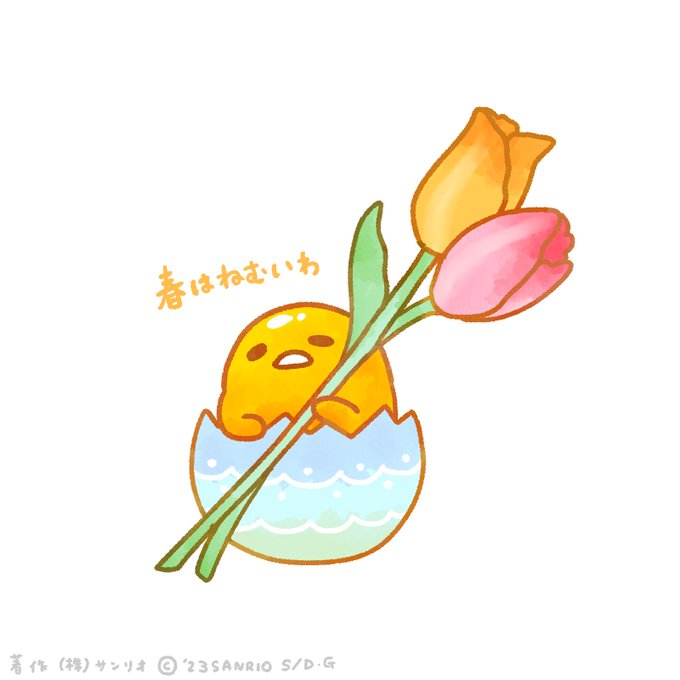 「ぐでたま【公式】@gudetama_sanrio」のTwitter画像/イラスト(新着)