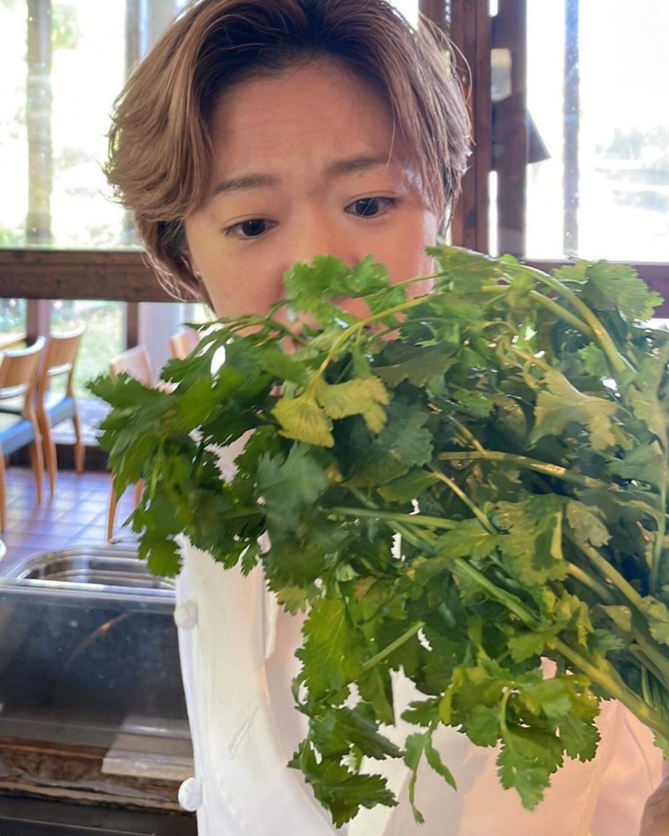 sizen_organic's tweet photo. パクチーはお好き?
無農薬パクチーを入手
ようやくパクチー料理を出せるように
#パクチー #セリ科 #香菜 #コリアンダー
https://t.co/uQiqzHbPSl
#平和台公園 #オーガニック #sizen #宮崎 #ランチ #宮崎ランチ #宮崎グルメ #宮崎バイキング #宮崎観光 https://t.co/KOb8YnrTcR