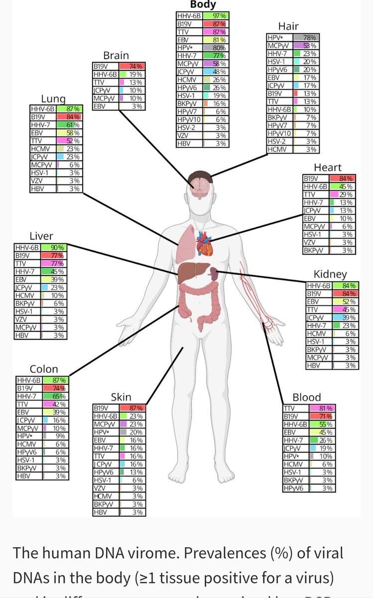 𝘔𝘪𝘬𝘬𝘰 𝘒𝘰𝘭𝘬𝘬𝘢𝘭𝘢 tweet media