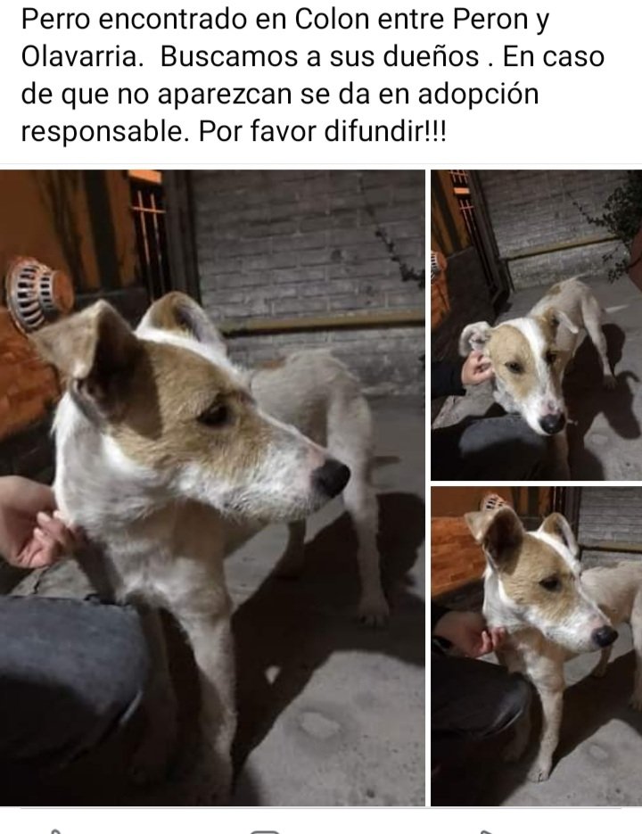 rocioorona's tweet photo. Por favor difundir‼️
Azul , Buenos Aires https://t.co/faTbMr6KMy