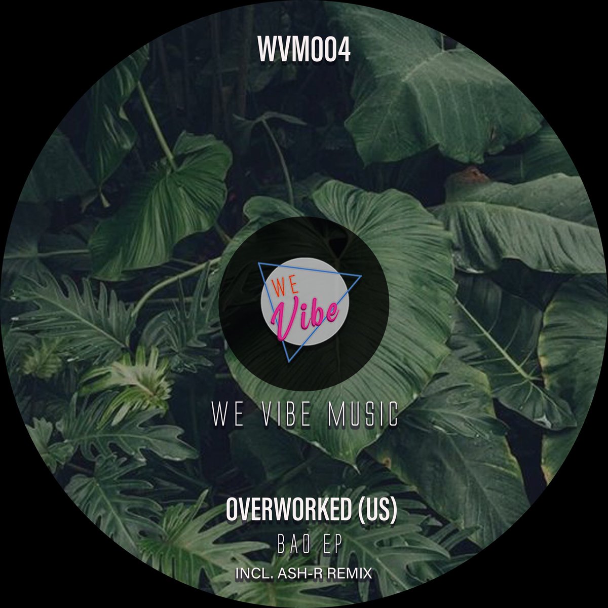 We Vibe Music 🪩🌴 tweet media